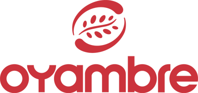 Sanservice