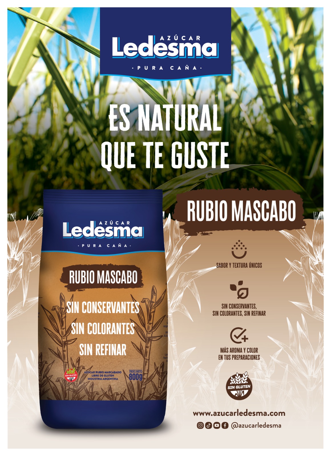 Ledesma Azúcar Rubio Mascabo pura caña