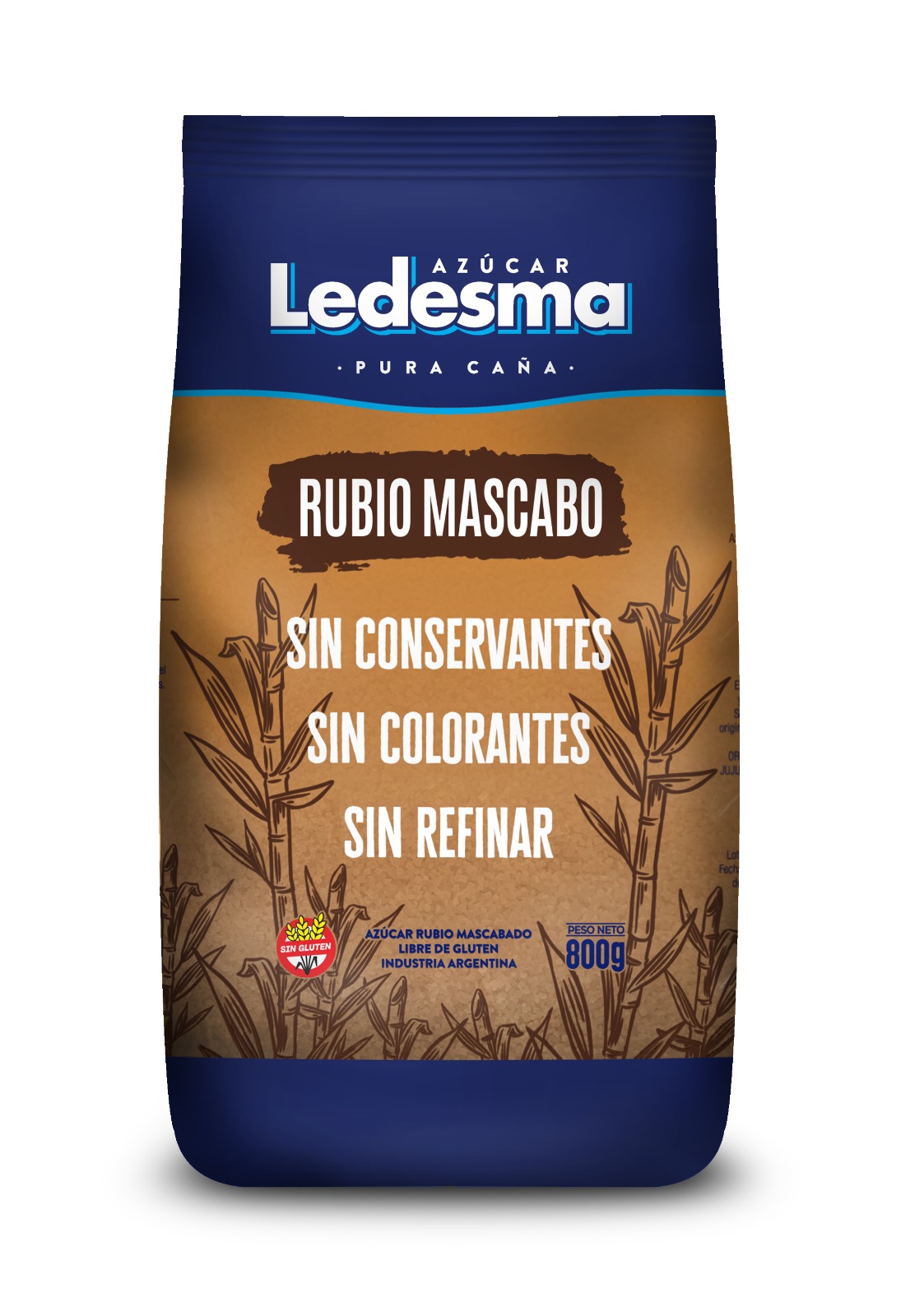 Ledesma